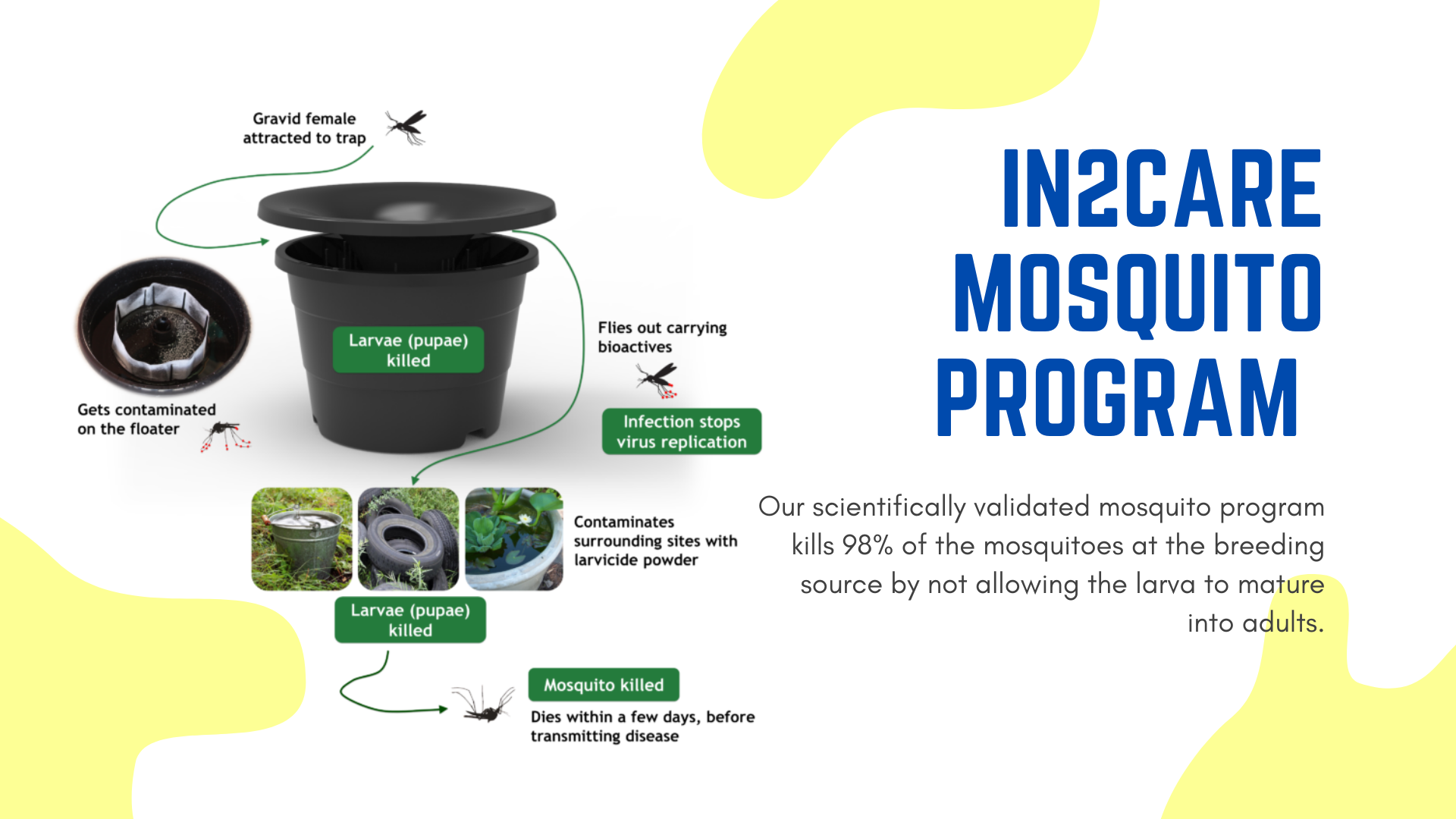 Mosquito Program