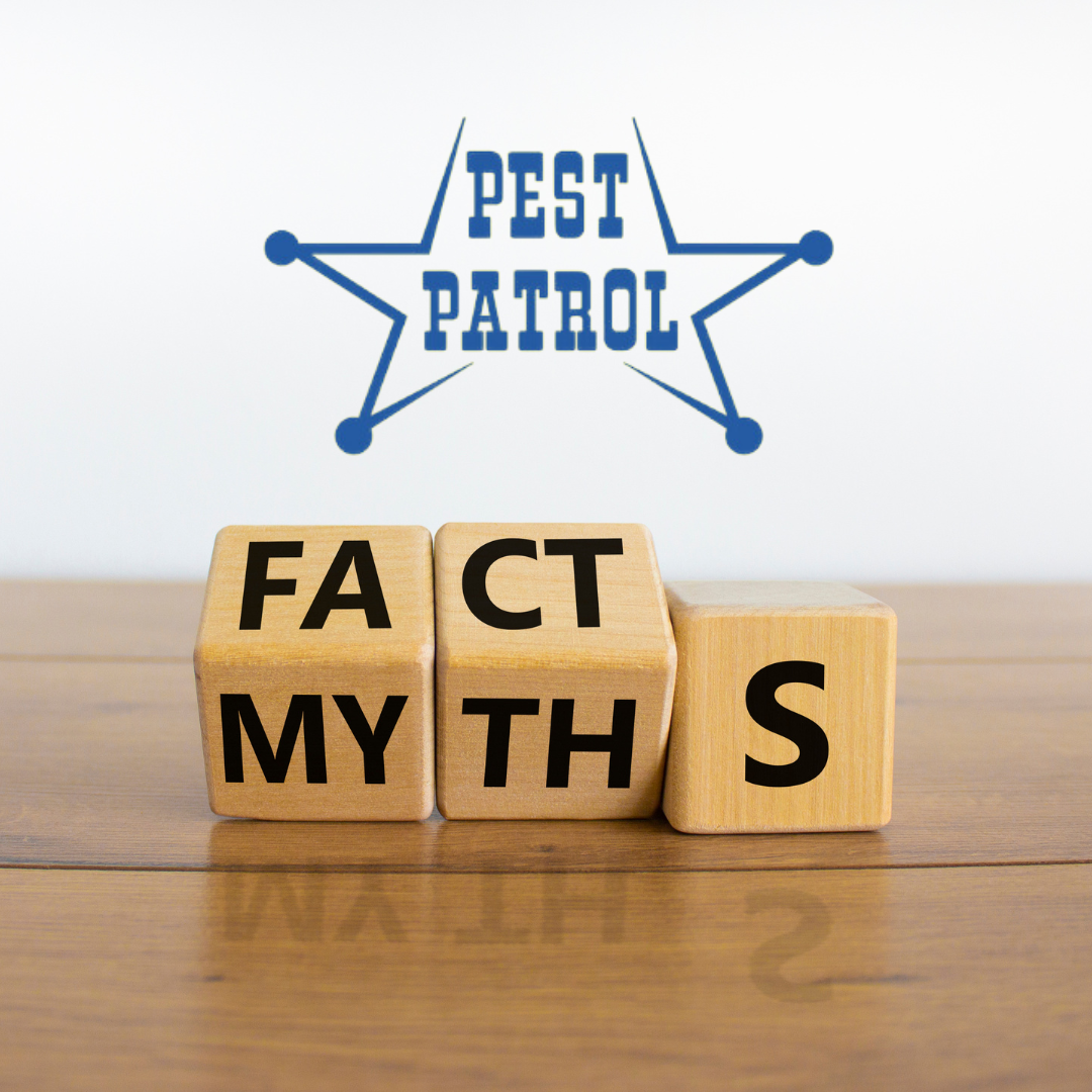 Myth vs Fact